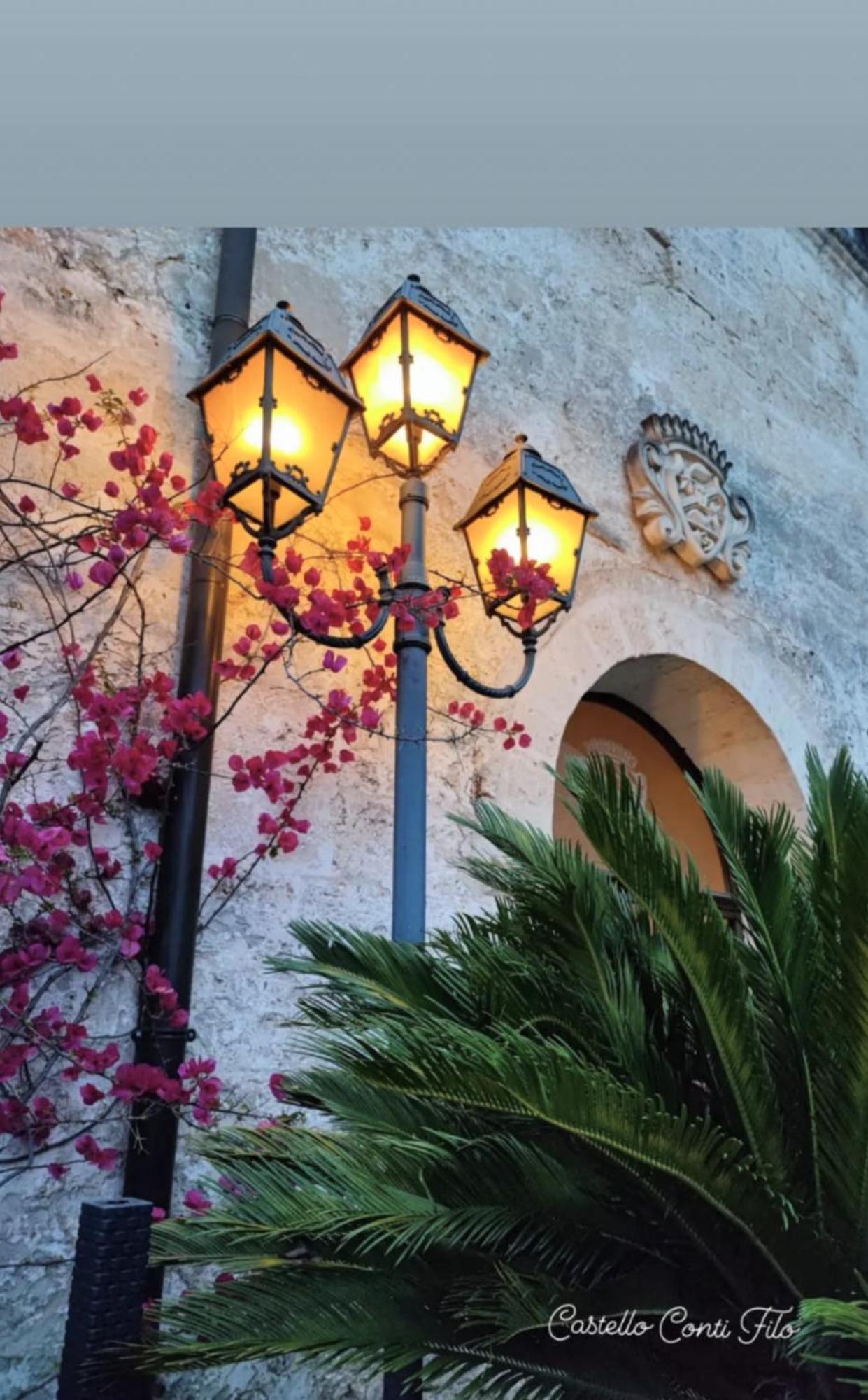 Bed and Breakfast Castello Conti Filo Torre Santa Susanna Exterior foto